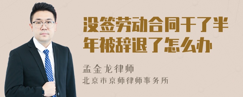 没签劳动合同干了半年被辞退了怎么办
