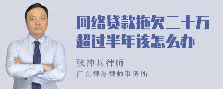 网络贷款拖欠二十万超过半年该怎么办