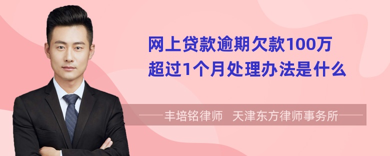 网上贷款逾期欠款100万超过1个月处理办法是什么