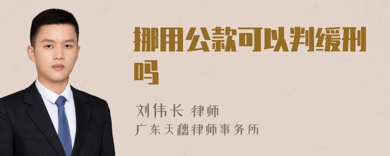 挪用公款可以判缓刑吗