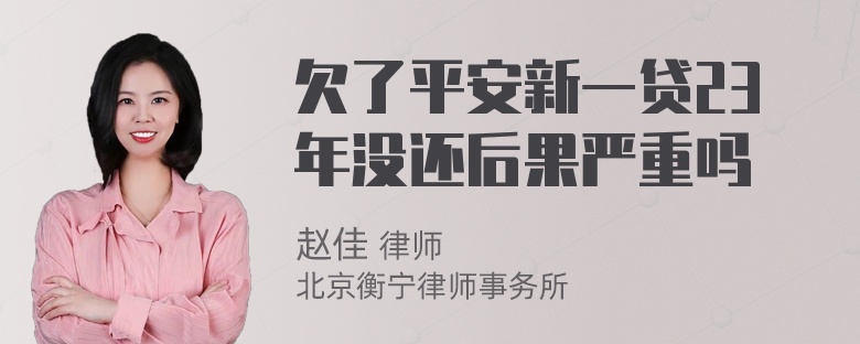 欠了平安新一贷23年没还后果严重吗