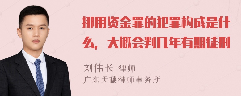 挪用资金罪的犯罪构成是什么，大概会判几年有期徒刑