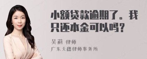 小额贷款逾期了。我只还本金可以吗？