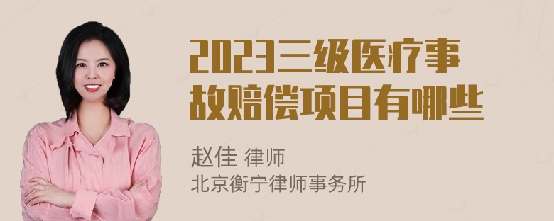 2023三级医疗事故赔偿项目有哪些