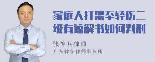 家庭人打架至轻伤二级有谅解书如何判刑