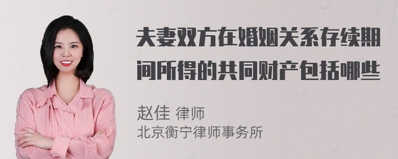 夫妻双方在婚姻关系存续期间所得的共同财产包括哪些