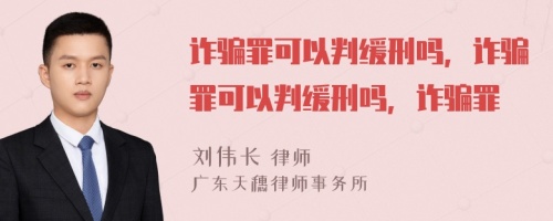 诈骗罪可以判缓刑吗，诈骗罪可以判缓刑吗，诈骗罪