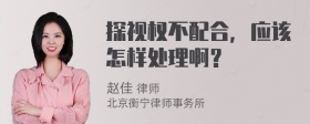 探视权不配合，应该怎样处理啊？