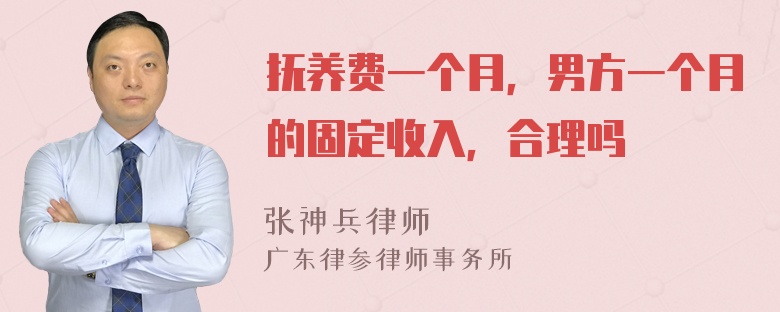 抚养费一个月，男方一个月的固定收入，合理吗