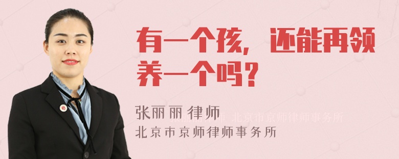 有一个孩，还能再领养一个吗？