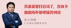 我弟弟要打官司了，咨询下派出所不处理债务纠纷