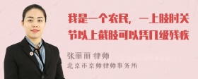 我是一个农民，一上肢肘关节以上截肢可以凭几级残疾