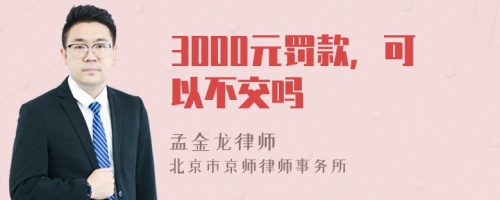 3000元罚款，可以不交吗