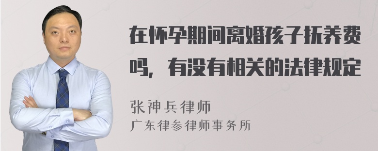 在怀孕期间离婚孩子抚养费吗，有没有相关的法律规定