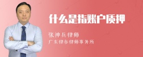 什么是指账户质押