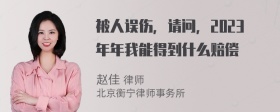 被人误伤，请问，2023年年我能得到什么赔偿