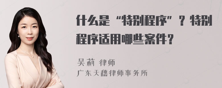 什么是“特别程序”？特别程序适用哪些案件？
