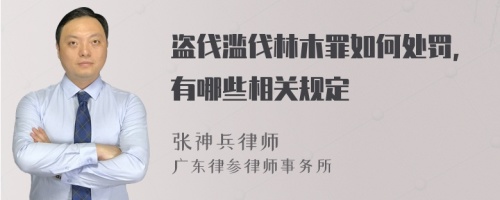 盗伐滥伐林木罪如何处罚，有哪些相关规定