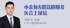 小金鱼A借款逾期多久会上征信