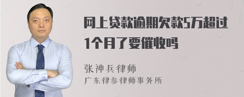 网上贷款逾期欠款5万超过1个月了要催收吗