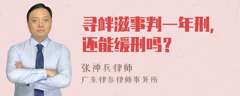 寻衅滋事判一年刑，还能缓刑吗？