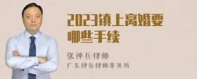 2023镇上离婚要哪些手续