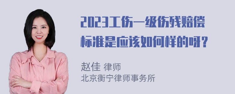 2023工伤一级伤残赔偿标准是应该如何样的呀？