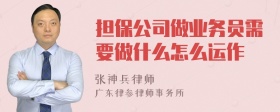 担保公司做业务员需要做什么怎么运作