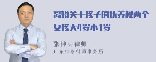 离婚关于孩子的抚养权两个女孩大4岁小1岁