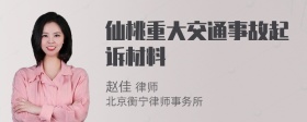 仙桃重大交通事故起诉材料