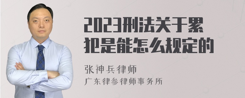 2023刑法关于累犯是能怎么规定的