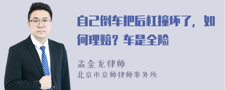 自己倒车把后杠撞坏了，如何理赔？车是全险