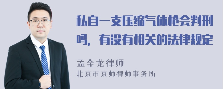 私自一支压缩气体枪会判刑吗，有没有相关的法律规定
