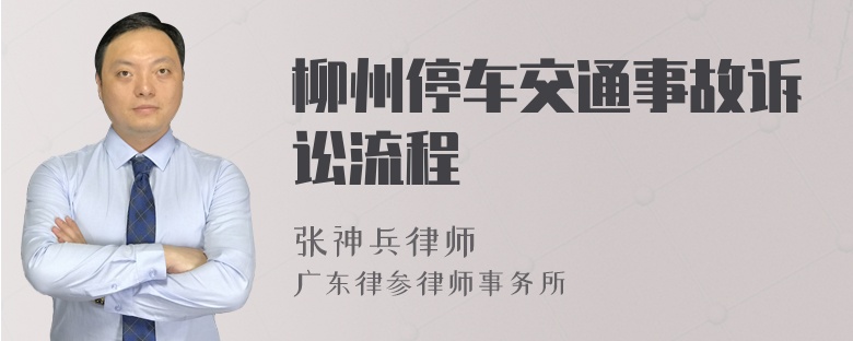 柳州停车交通事故诉讼流程