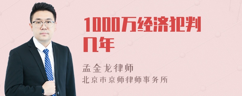 1000万经济犯判几年