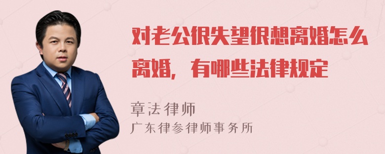 对老公很失望很想离婚怎么离婚，有哪些法律规定