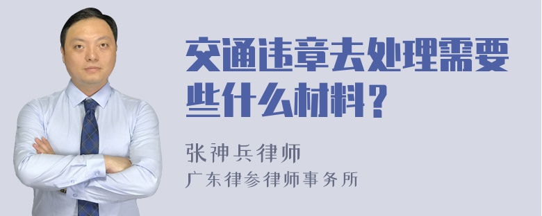 交通违章去处理需要些什么材料？