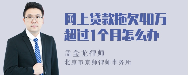 网上贷款拖欠40万超过1个月怎么办