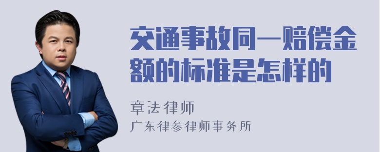 交通事故同一赔偿金额的标准是怎样的