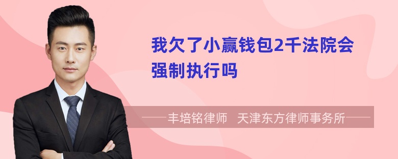 我欠了小赢钱包2千法院会强制执行吗
