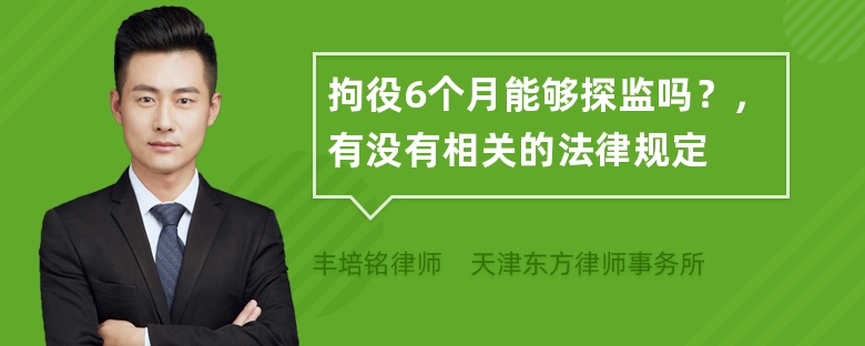 拘役6个月能够探监吗？，有没有相关的法律规定