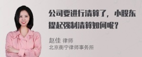 公司要进行清算了，小股东提起强制清算如何呢？