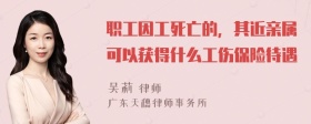 职工因工死亡的，其近亲属可以获得什么工伤保险待遇