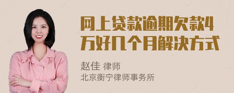 网上贷款逾期欠款4万好几个月解决方式