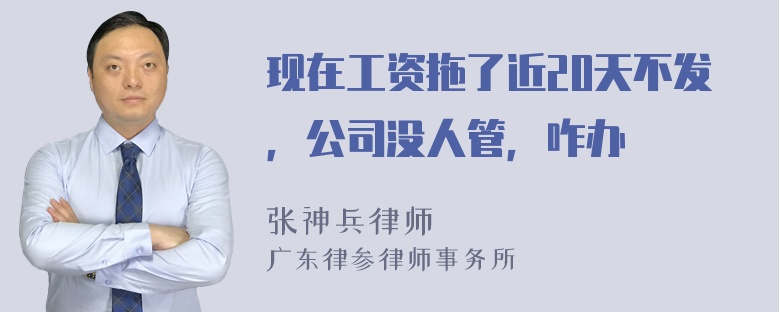 现在工资拖了近20天不发，公司没人管，咋办