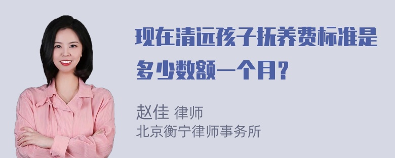 现在清远孩子抚养费标准是多少数额一个月？