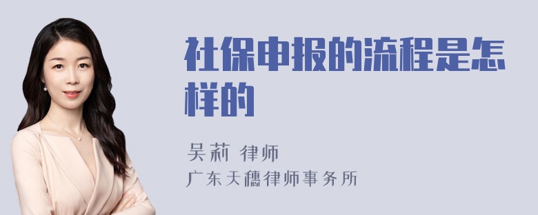 社保申报的流程是怎样的