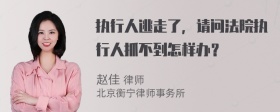 执行人逃走了，请问法院执行人抓不到怎样办？