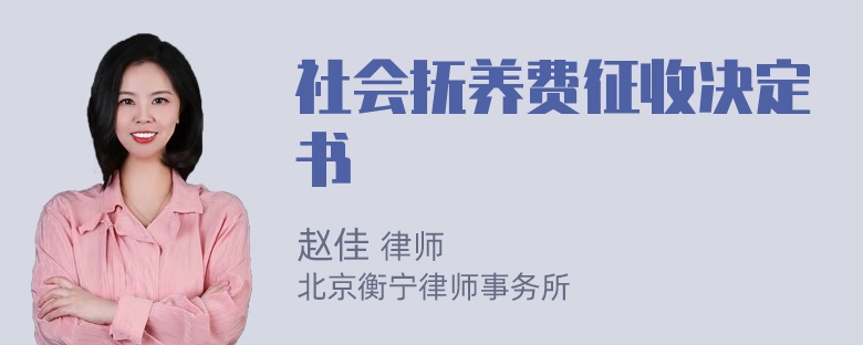 社会抚养费征收决定书