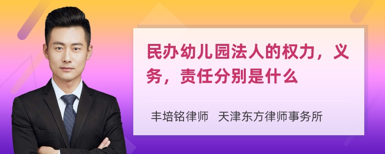 民办幼儿园法人的权力，义务，责任分别是什么